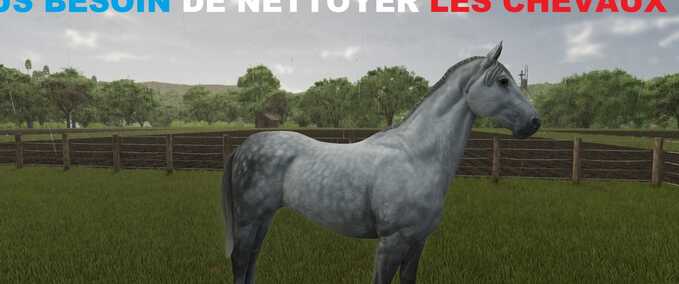 Gameplay No Need to Clean Horses Farming Simulator mod