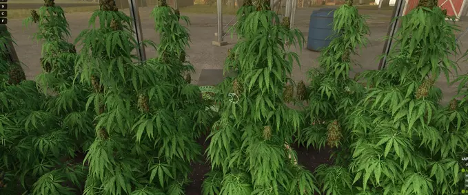 Factories Hemp Production System Farming Simulator mod