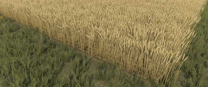 Wheat Texture Mod Image