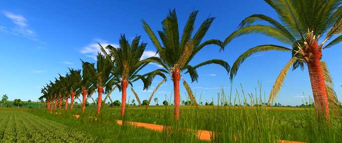 Coconut Tree Mod Image