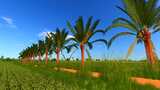 Coconut Tree Mod Thumbnail