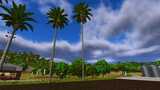 Palm Tree Pack Mod Thumbnail