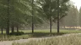 Pinewood Forest Mod Thumbnail