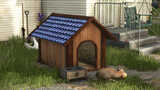 Fancy Doghouse Mod Thumbnail