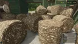 Modified Paper Factory Mod Thumbnail