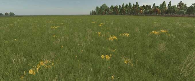 Textures Grass with Dandelions and Daisies Farming Simulator mod