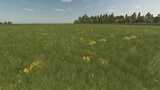 Grass with Dandelions and Daisies Mod Thumbnail