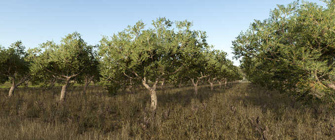 Placeable Objects Olives & Olive Picker Farming Simulator mod