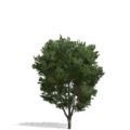 3632853