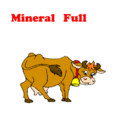 3640124