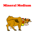 3640125