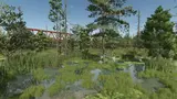 Sunshine Forest Mod Thumbnail