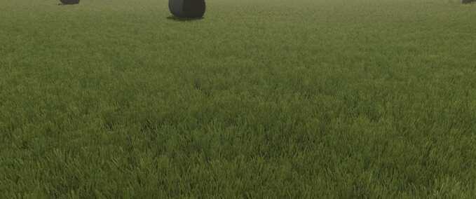 Textures Meadow Grass Texture Replacement Farming Simulator mod