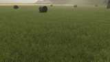 Meadow Grass Texture Replacement Mod Thumbnail