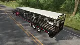 3647169