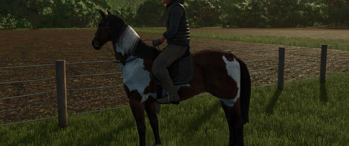 Horse Helper Mod Image