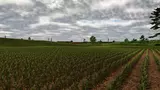 3649221