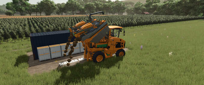 Grape and Olive Storage Mod Image