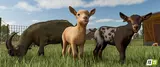 More Visual Animals Mod Thumbnail