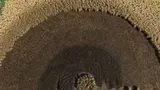 3649741