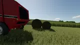 3649814