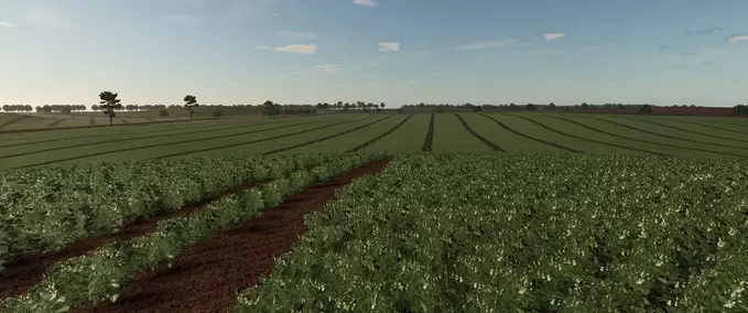 Big Maps Fazenda Nova Esperança 4x Farming Simulator mod