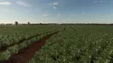 Fazenda Nova Esperança 4x Mod Thumbnail