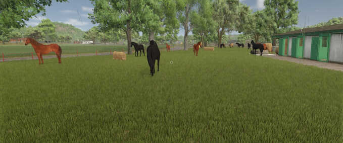 Auto Horse Care Mod Image