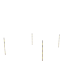 3650923