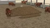 Hoop Cattle Barn Mod Thumbnail
