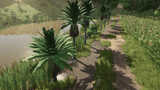 Coconut Trees Mod Thumbnail