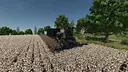 Krone Cotton Pack