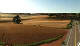 Fazenda Caiçara Mod Thumbnail