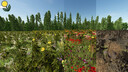 Flowering Catch Crop (Prefab)