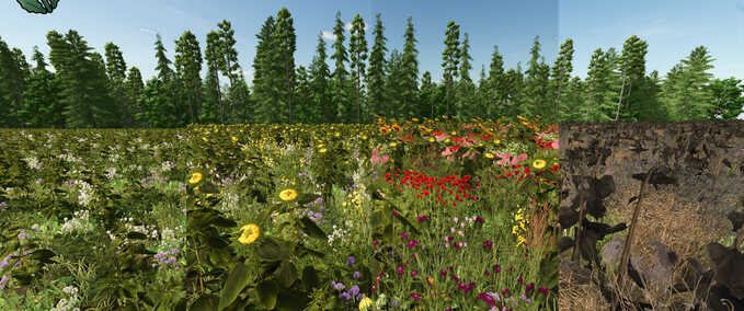Prefab Flowering Catch Crop (Prefab) Farming Simulator mod