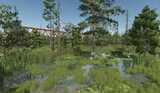 Sunshine Forest Mod Thumbnail