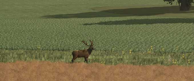 More Wild Animals Mod Image