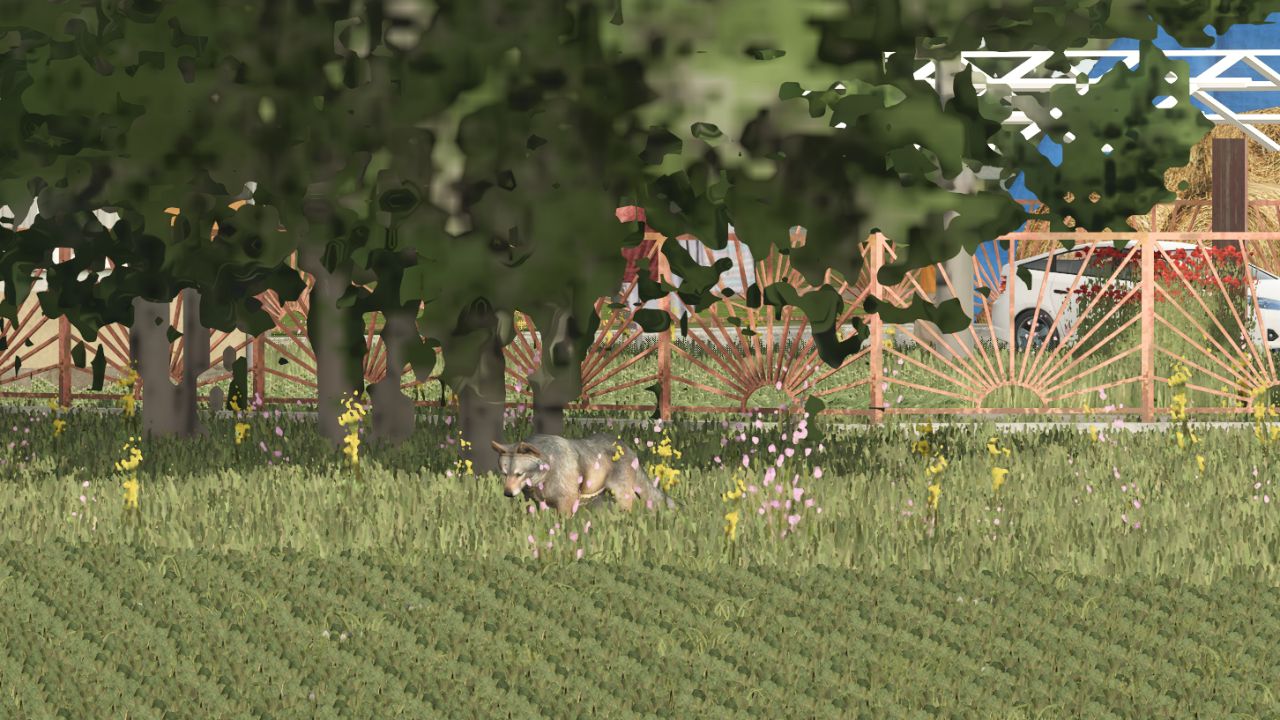 More Wild Animals - Thumbnail 1