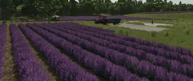 Prefab Lavender in Rows (Prefab) Farming Simulator mod