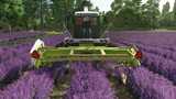 Ponzo Lavender Header Mod Thumbnail