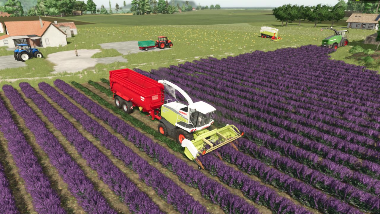 Ponzo Lavender Header - Thumbnail 1