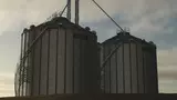 3657516
