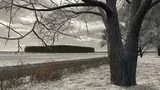 3657523