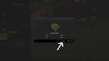 3657624