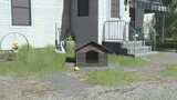 Wooden Dog House Mod Thumbnail