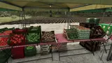 Farm Market Mod Thumbnail