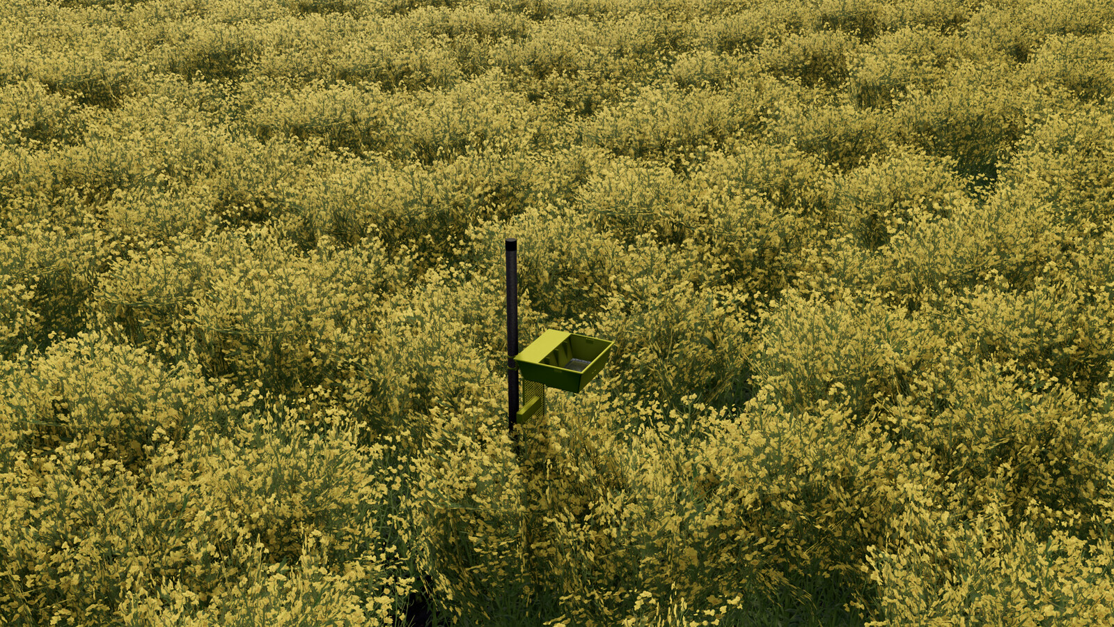 Yellow Tray - Thumbnail 1
