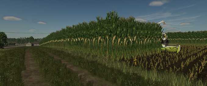 Maize Texture (Height Adjusted) Mod Image