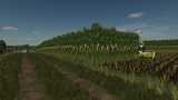 Maize Texture (Height Adjusted) Mod Thumbnail