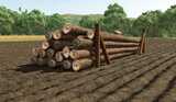 Wooden Log Support Mod Thumbnail